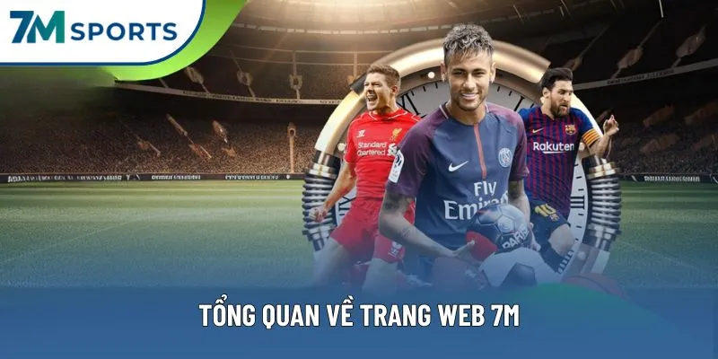 Tổng quan về trang web 7M Tổng quan về trang web 7M