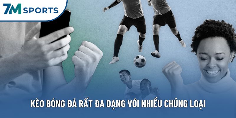 Kèo bóng đá rất đa dạng với nhiều chủng loại Kèo bóng đá rất đa dạng với nhiều chủng loại